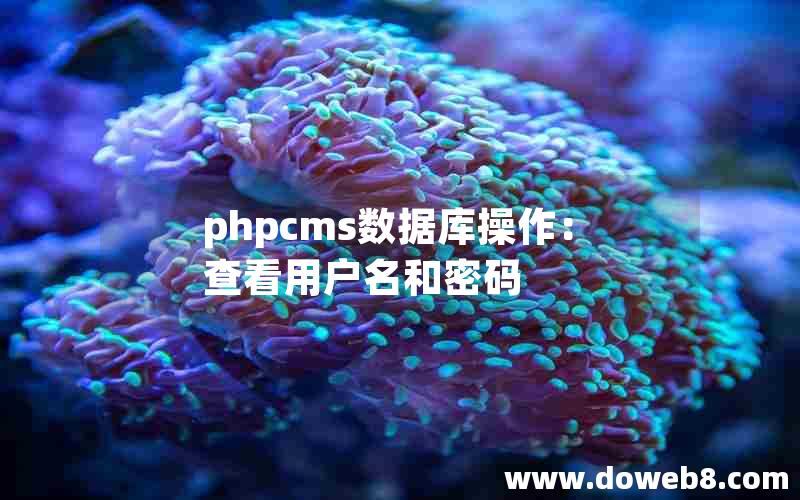 phpcms数据库操作：查看用户名和密码