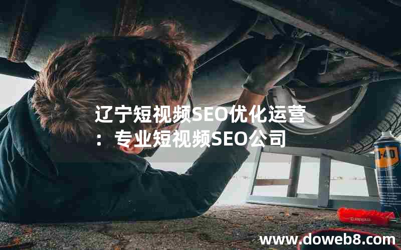 辽宁短视频SEO优化运营：专业短视频SEO公司