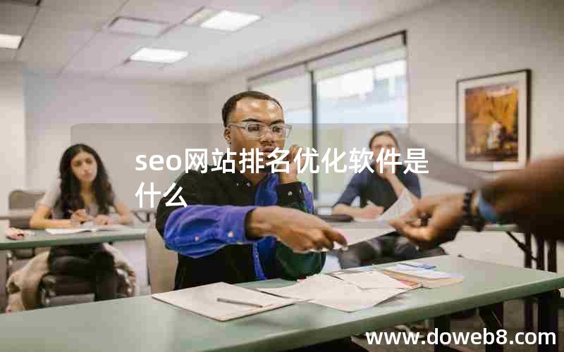 seo网站排名优化软件是什么