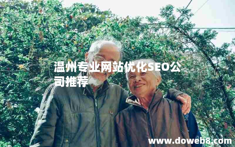 温州专业网站优化SEO公司推荐