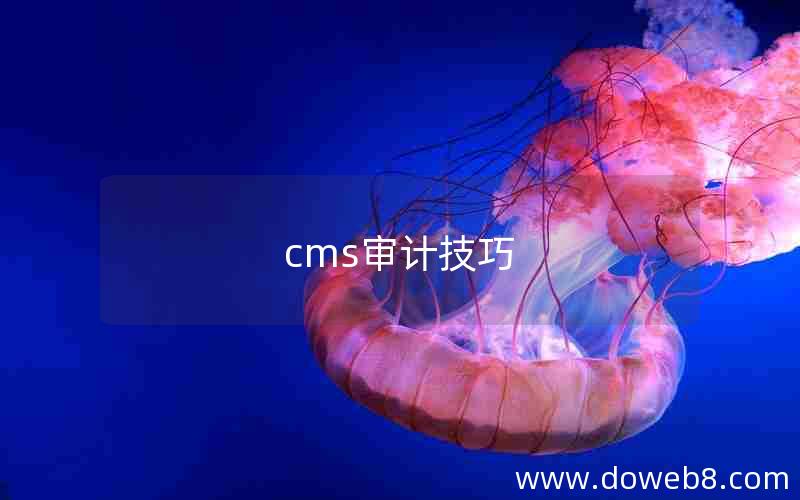 cms审计技巧