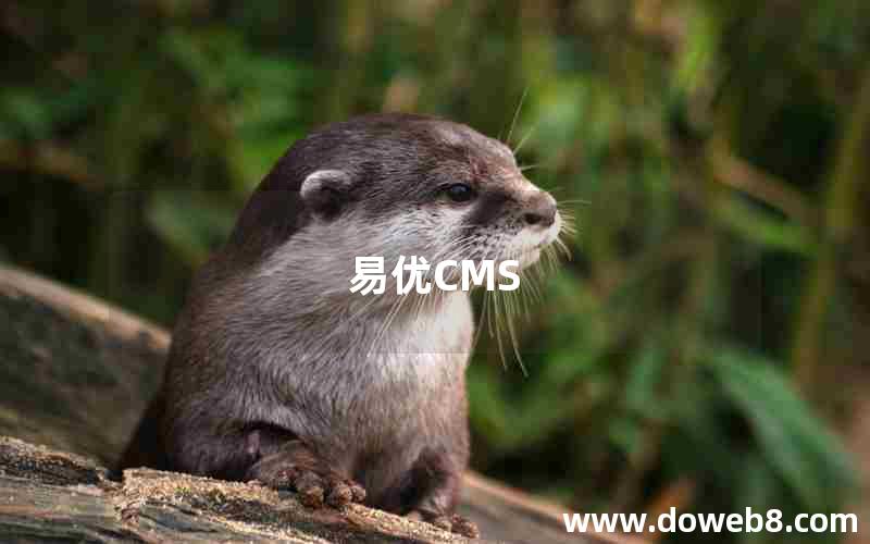 易优CMS