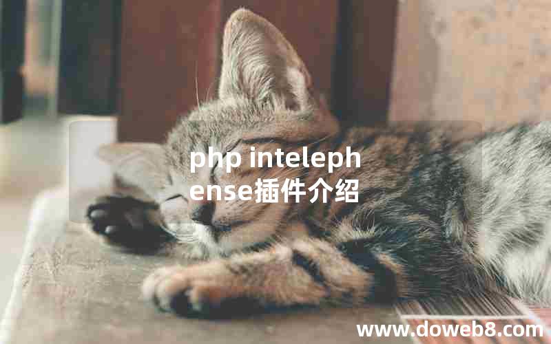 php intelephense插件介绍