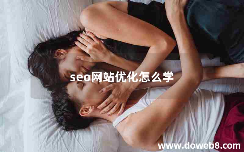 seo网站优化怎么学