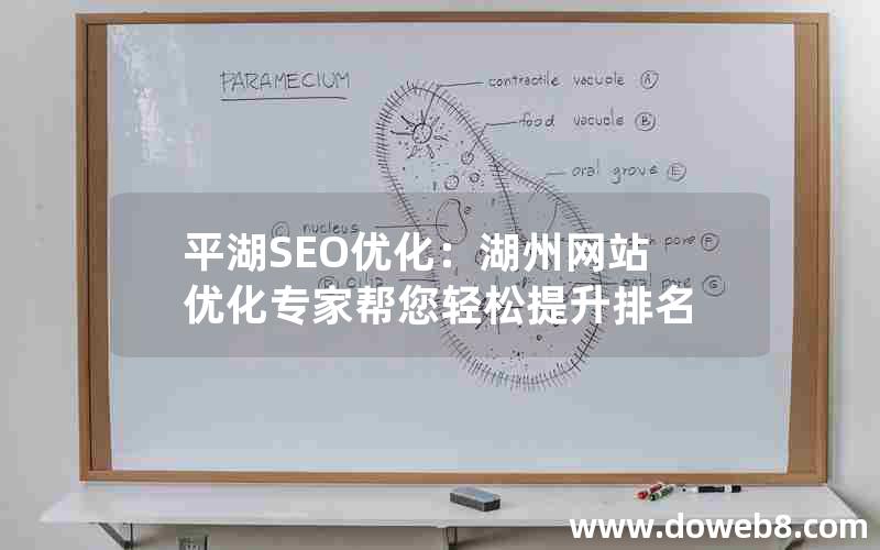 平湖SEO优化：湖州网站优化专家帮您轻松提升排名