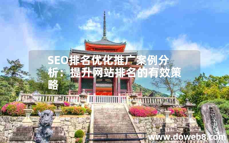 SEO排名优化推广案例分析：提升网站排名的有效策略