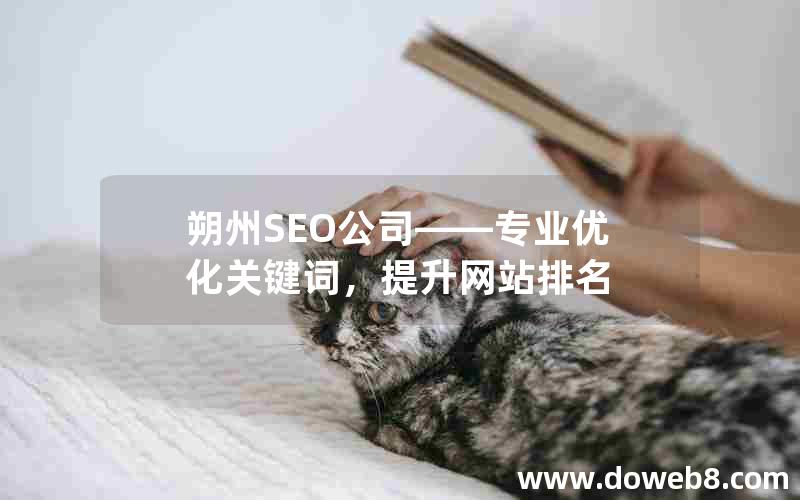 朔州SEO公司——专业优化关键词，提升网站排名