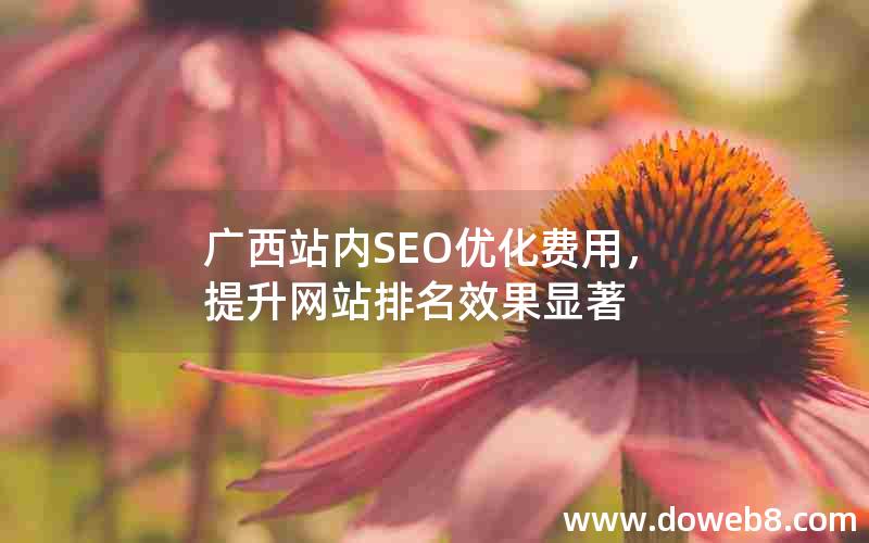 广西站内SEO优化费用，提升网站排名效果显著