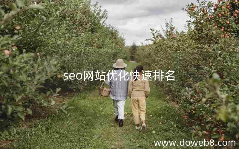 seo网站优化快速排名