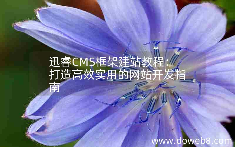 迅睿CMS框架建站教程：打造高效实用的网站开发指南