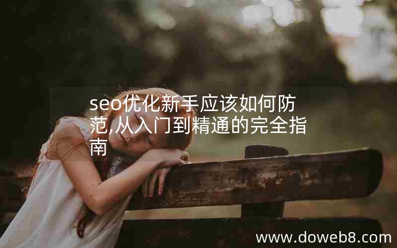 seo优化新手应该如何防范,从入门到精通的完全指南