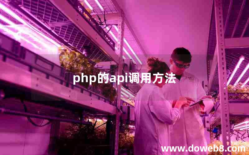 php的api调用方法