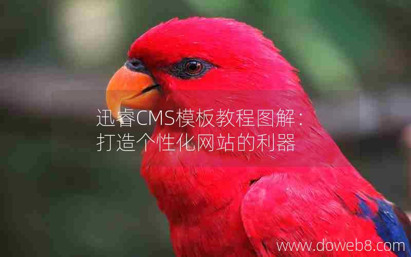 迅睿CMS模板教程图解：打造个性化网站的利器