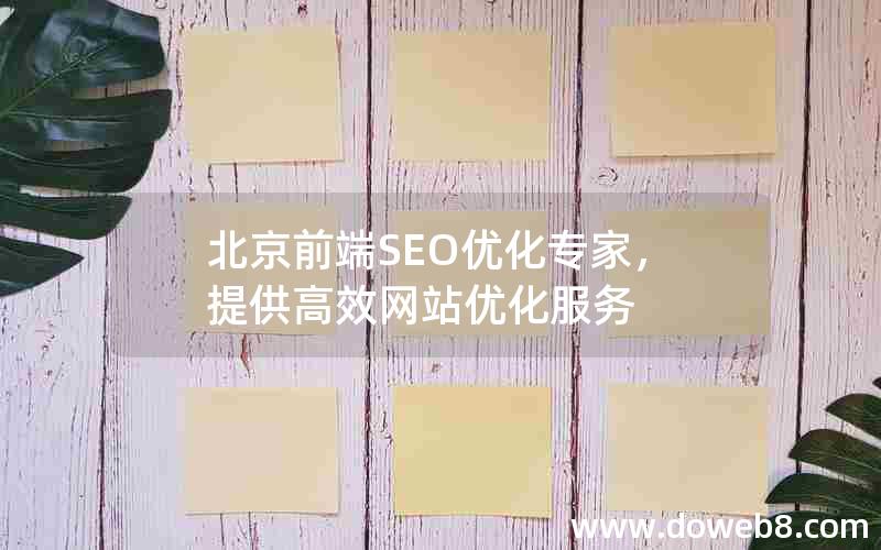 北京前端SEO优化专家，提供高效网站优化服务