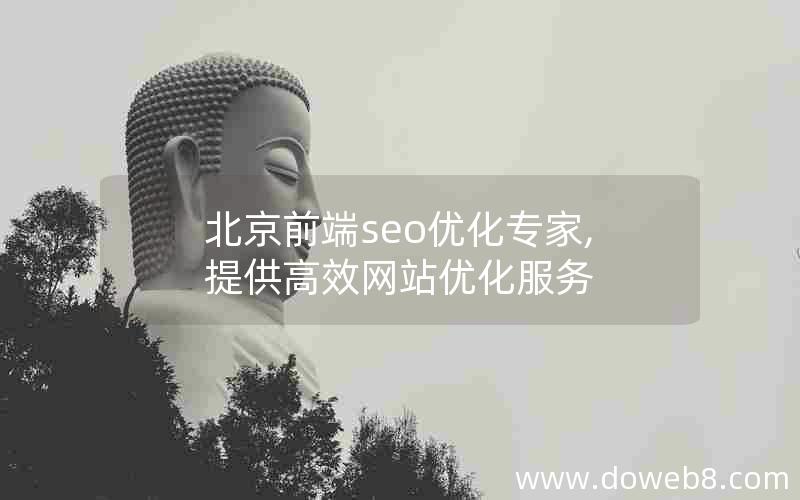 北京前端seo优化专家,提供高效网站优化服务