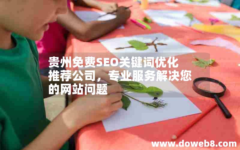 贵州免费SEO关键词优化推荐公司，专业服务解决您的网站问题