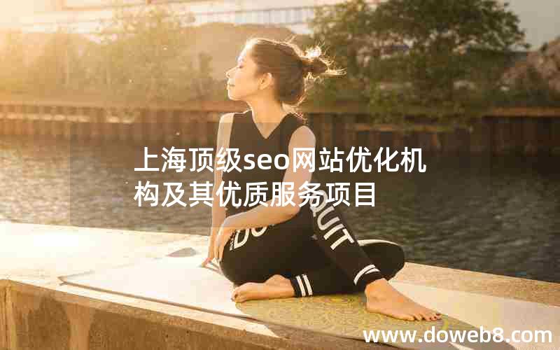 上海顶级seo网站优化机构及其优质服务项目