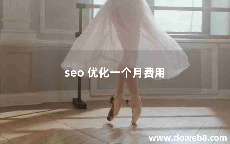 seo 优化一个月费用