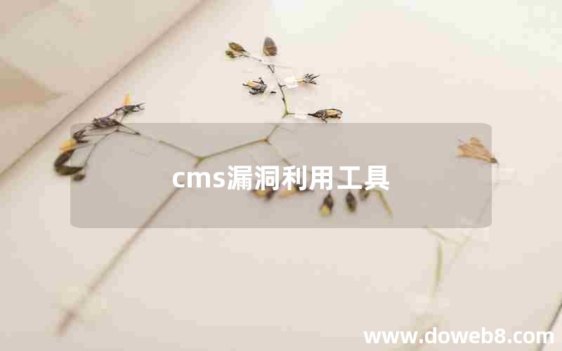 cms漏洞利用工具