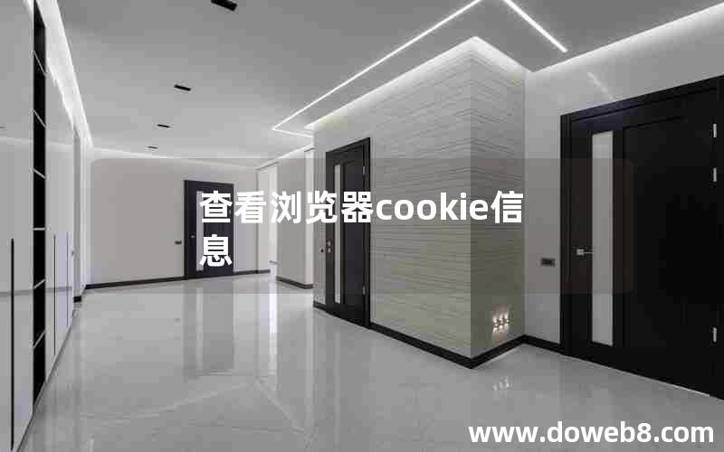 查看浏览器cookie信息