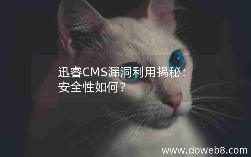 迅睿CMS漏洞利用揭秘：安全性如何？