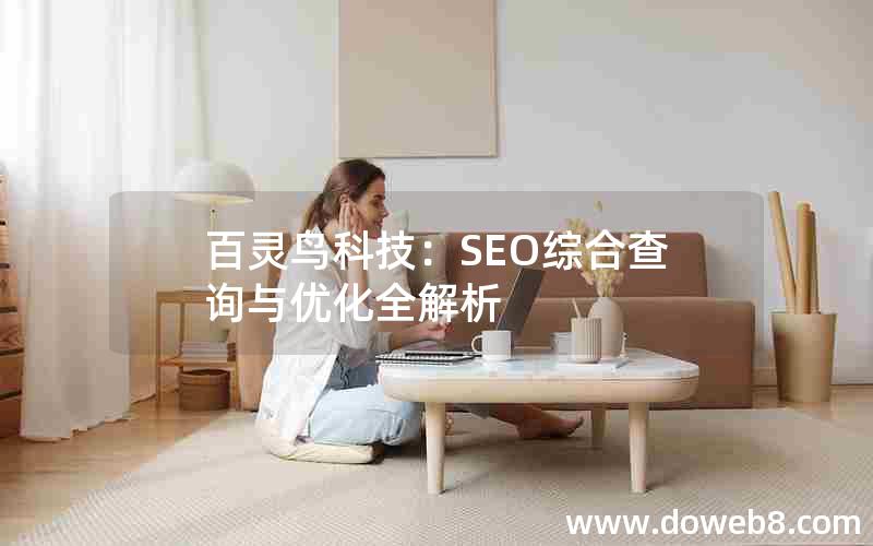 百灵鸟科技：SEO综合查询与优化全解析