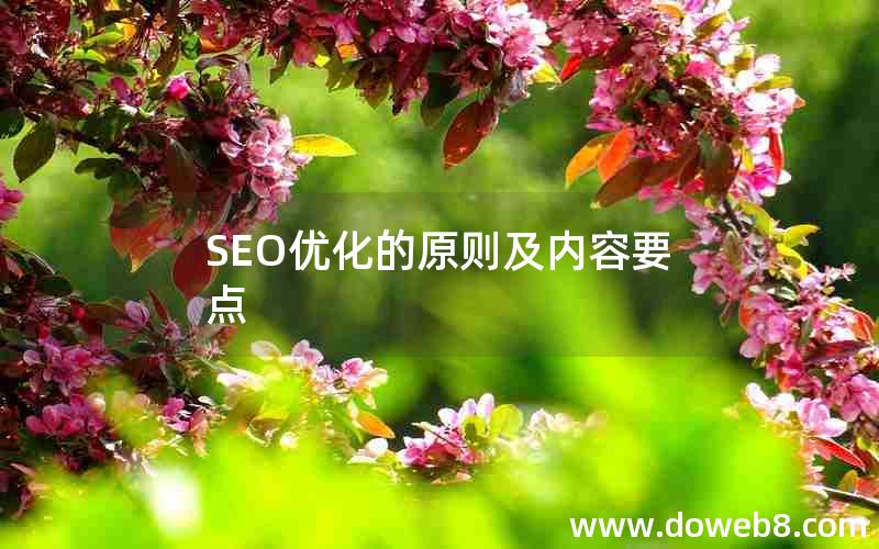 SEO优化的原则及内容要点(seo优化的原则及内容要点)