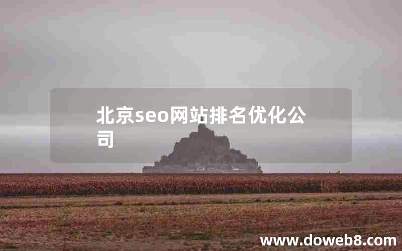 北京seo网站排名优化公司