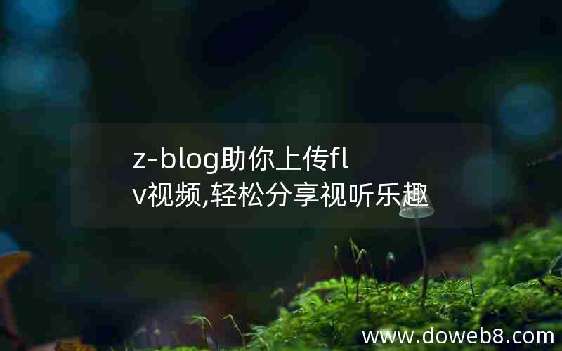 z-blog助你上传flv视频,轻松分享视听乐趣