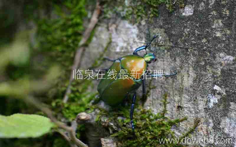 临泉在线最新招聘