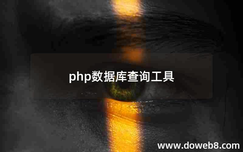 php数据库查询工具