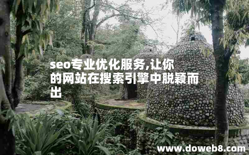 seo专业优化服务,让你的网站在搜索引擎中脱颖而出