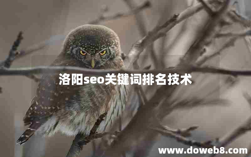 洛阳seo关键词排名技术