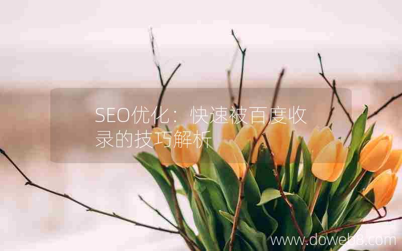 SEO优化：快速被百度收录的技巧解析