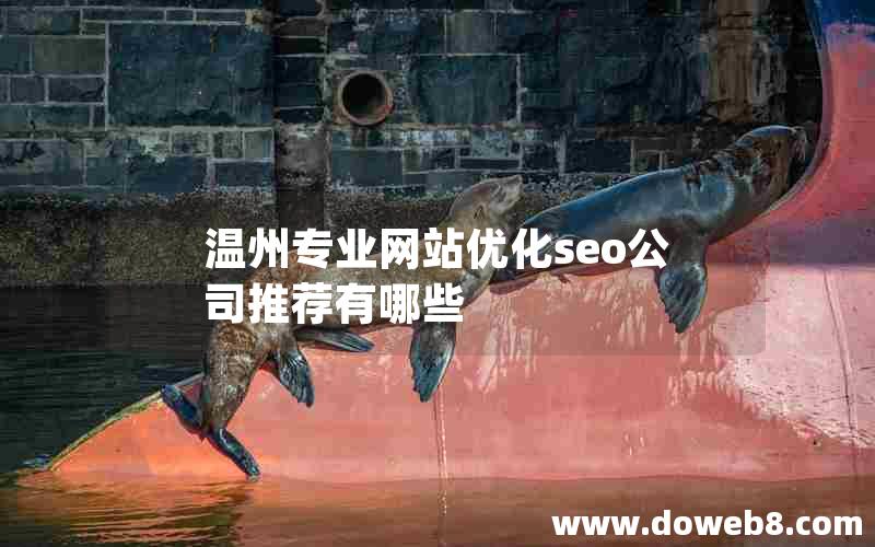 温州专业网站优化seo公司推荐有哪些