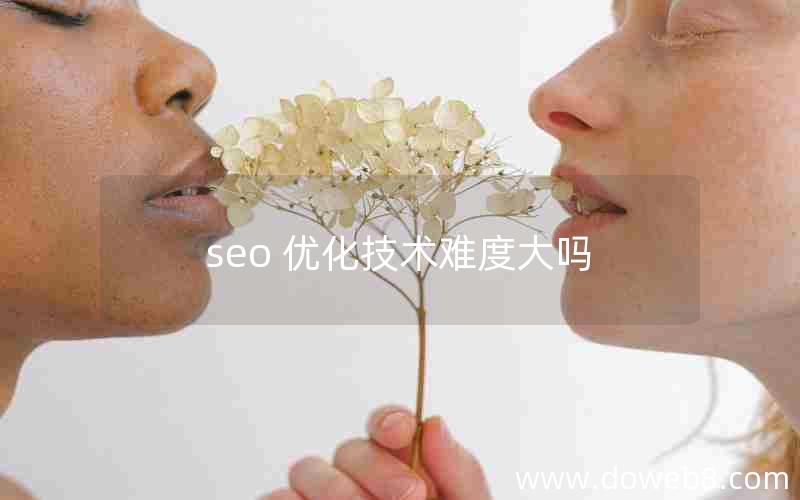 seo 优化技术难度大吗