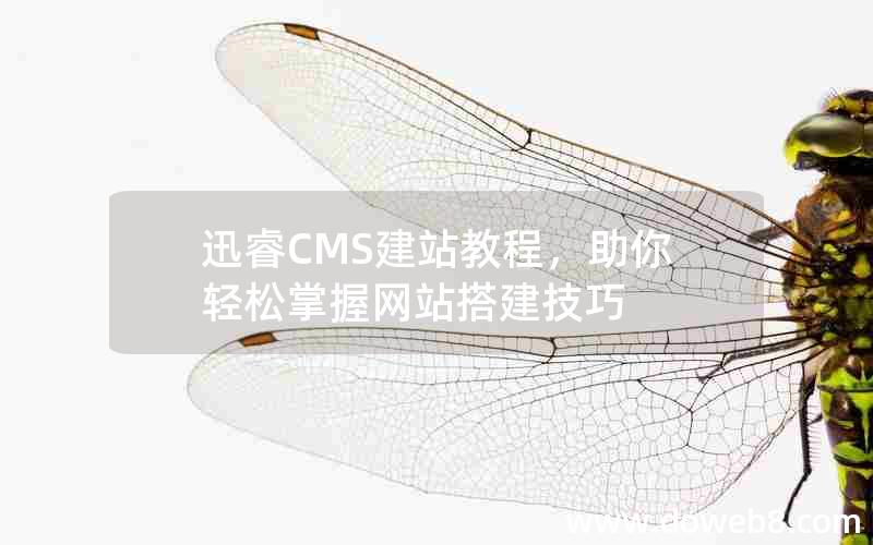 迅睿CMS建站教程，助你轻松掌握网站搭建技巧