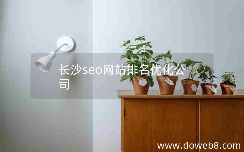 长沙seo网站排名优化公司