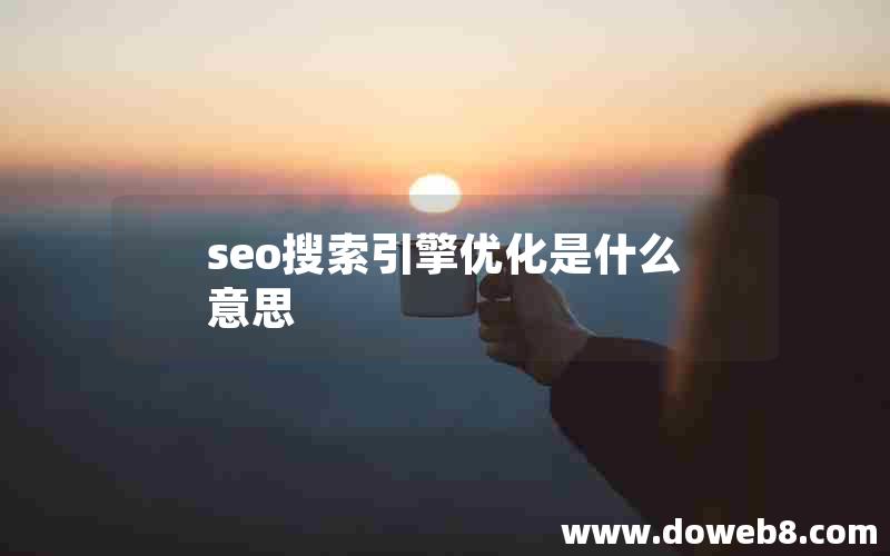 seo搜索引擎优化是什么意思