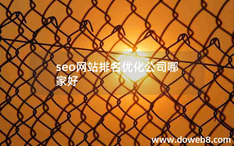 seo网站排名优化公司哪家好