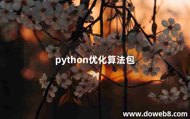 python优化算法包