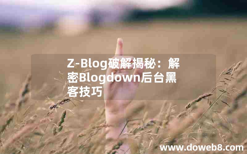 Z-Blog破解揭秘：解密Blogdown后台黑客技巧