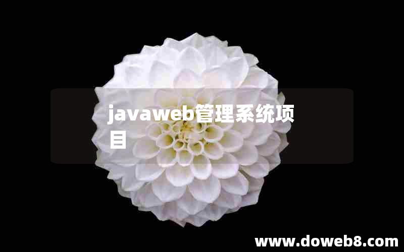 javaweb管理系统项目