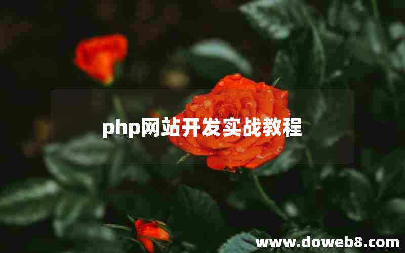 php网站开发实战教程