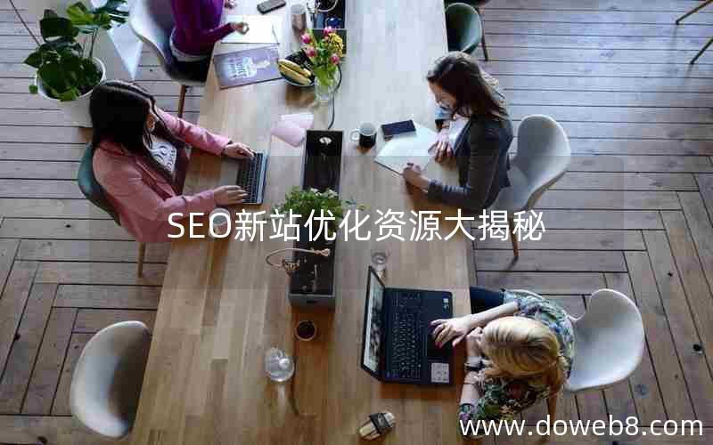 SEO新站优化资源大揭秘,seo新站优化资源大揭秘