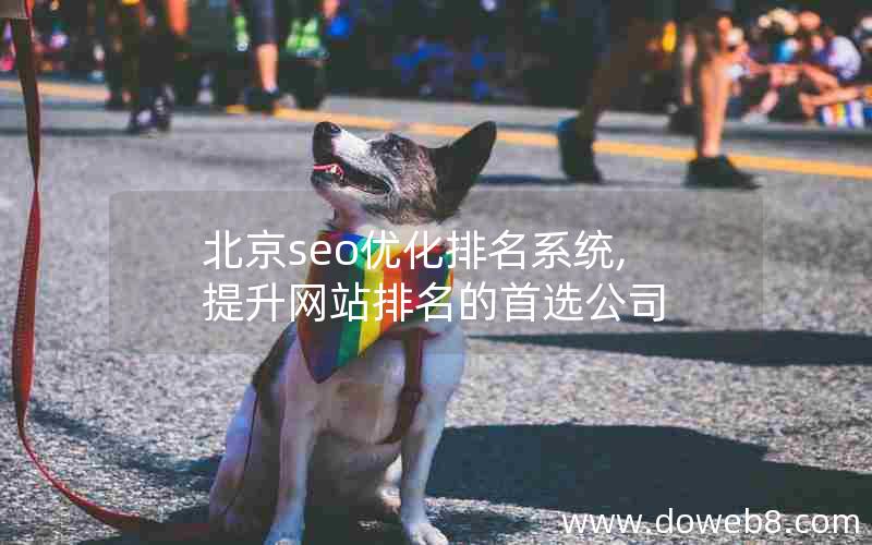 北京seo优化排名系统,提升网站排名的首选公司