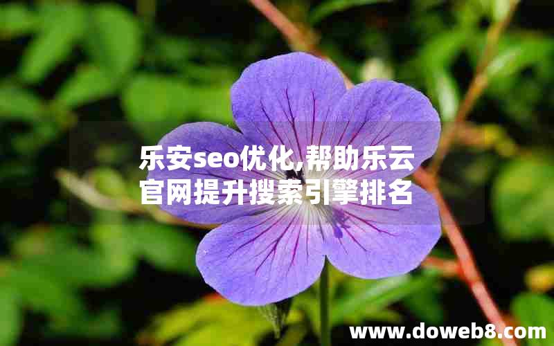 乐安seo优化,帮助乐云官网提升搜索引擎排名