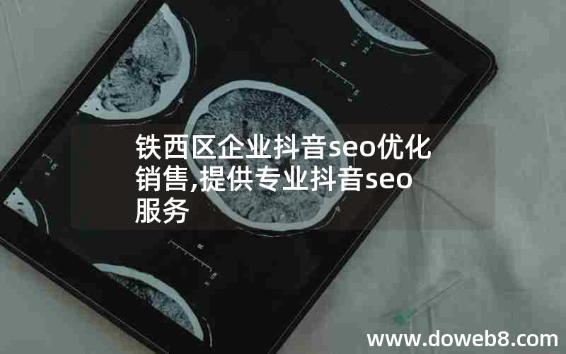 铁西区企业抖音seo优化销售,提供专业抖音seo服务