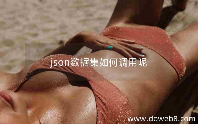 json数据集如何调用呢