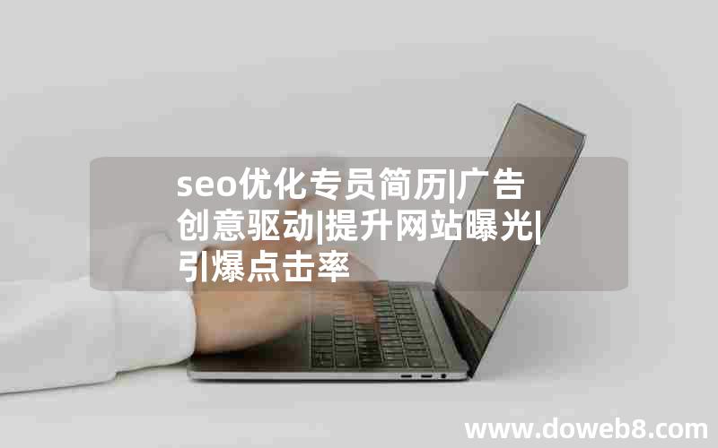 seo优化专员简历